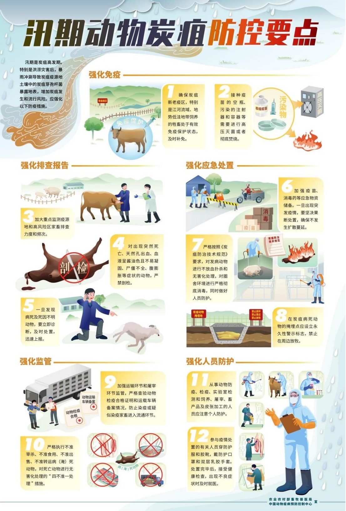 汛期动物炭疽防控要点.jpg